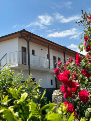 Vila Bloom